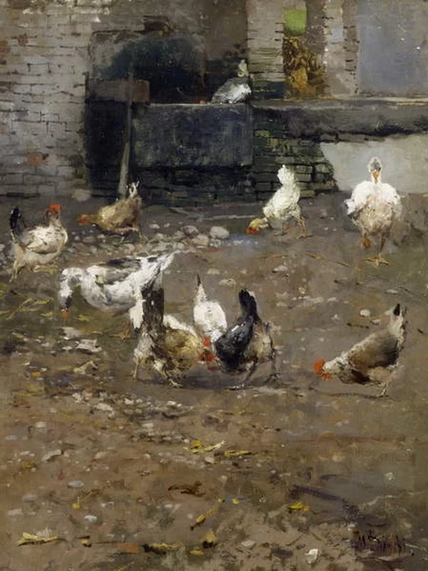 Galline - Museo del Territorio Biellese, Biella